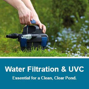 Pond Filters & UVC Clarifier